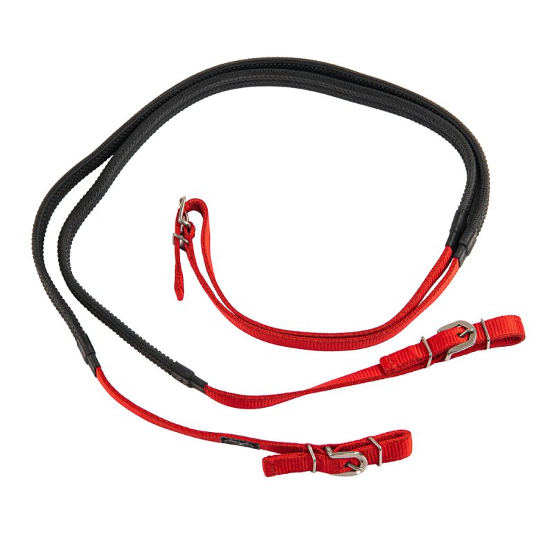 Reins