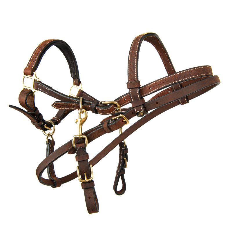 Bridles