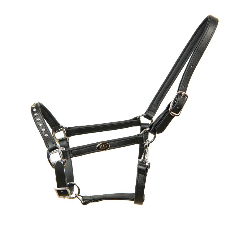 Nosebands